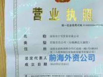 企業資產與服務的多元轉讓 深圳前海資本管理、外資公司、重慶翻譯與基礎軟件服務
